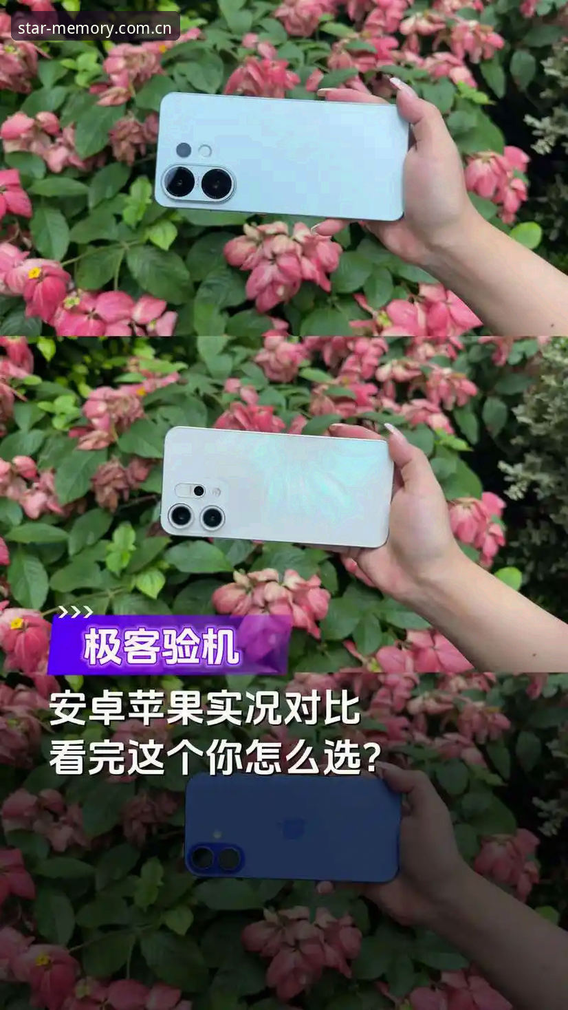 苹果安卓双端赛事数据体验对比：Xingkong安装教程怎么选才不踩坑？